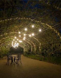 Boeira Garden Hotel Porto, Curio Coll