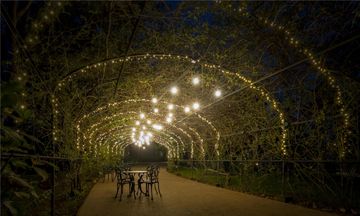 Boeira Garden Hotel Porto, Curio Coll