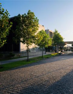 Boeira Garden Hotel Porto, Curio Coll