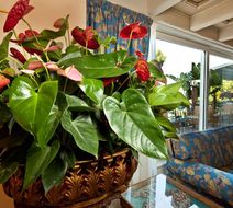 Excelsior Belvedere Hotel & Spa Lobby