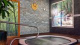 Best Western Hotel SPA Pau Lescar Airpt Spa
