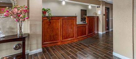 Comfort Inn & Suites Carbondale Lobby