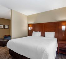 Comfort Inn & Suites Carbondale Room