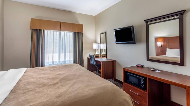 Comfort Inn & Suites Carbondale Room