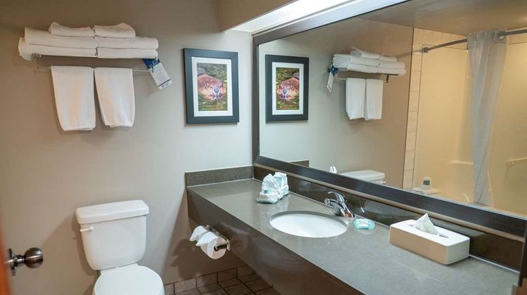 Pocaterra Inn & Waterslide Room