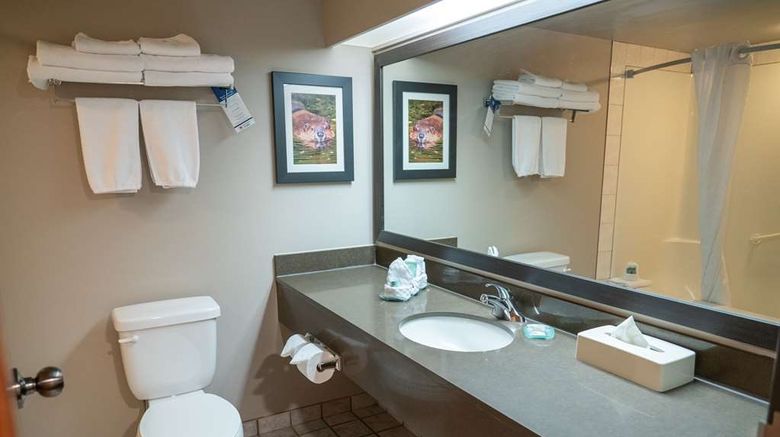 <b>Pocaterra Inn & Waterslide Room</b>. Images powered by <a href="https://iceportal.shijigroup.com/" title="IcePortal" target="_blank">IcePortal</a>.