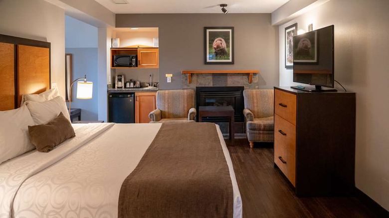 <b>Pocaterra Inn & Waterslide Suite</b>. Images powered by <a href="https://iceportal.shijigroup.com/" title="IcePortal" target="_blank">IcePortal</a>.