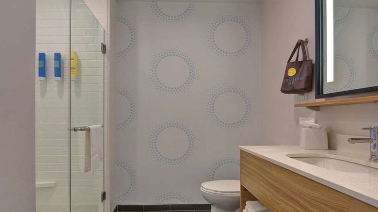 <b>Tru by Hilton St Petersburg Downtown Room</b>. Images powered by <a href="https://iceportal.shijigroup.com/" title="IcePortal" target="_blank">IcePortal</a>.