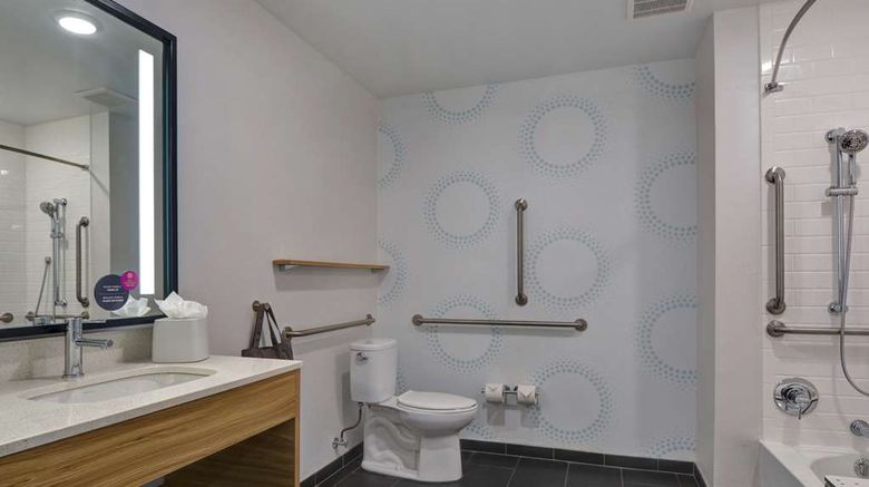 <b>Tru by Hilton St Petersburg Downtown Room</b>. Images powered by <a href="https://iceportal.shijigroup.com/" title="IcePortal" target="_blank">IcePortal</a>.