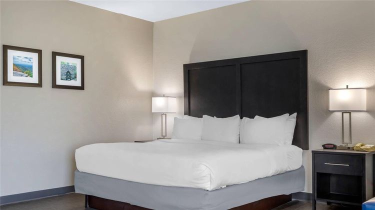 Comfort Inn & Suites Greer-Greenville Suite