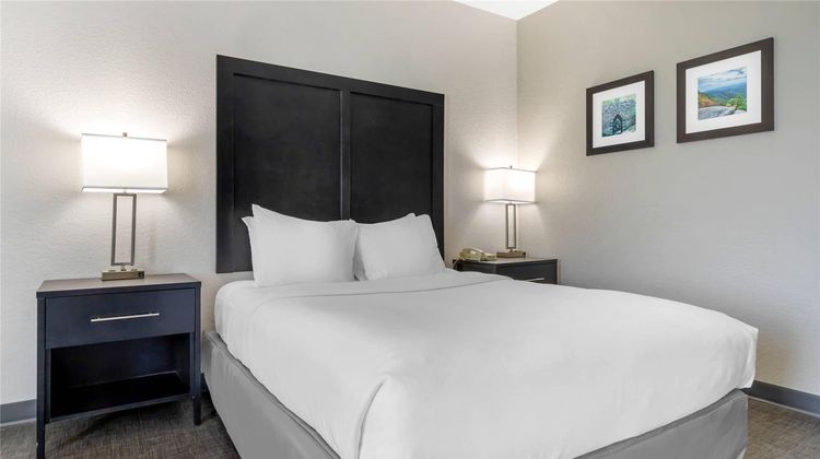 Comfort Inn & Suites Greer-Greenville Room