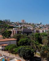 Occidental Las Palmas