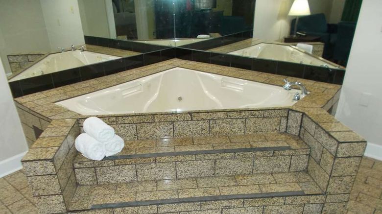 <b>SureStay Plus by Best Western St. Marys Suite</b>. Images powered by <a href="https://iceportal.shijigroup.com/" title="IcePortal" target="_blank">IcePortal</a>.