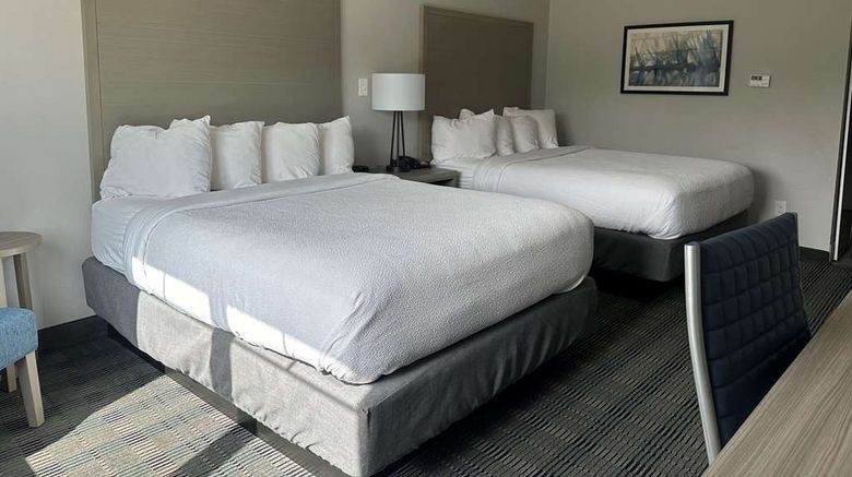 <b>Best Western Plus Chandler Room</b>. Images powered by <a href="https://iceportal.shijigroup.com/" title="IcePortal" target="_blank">IcePortal</a>.
