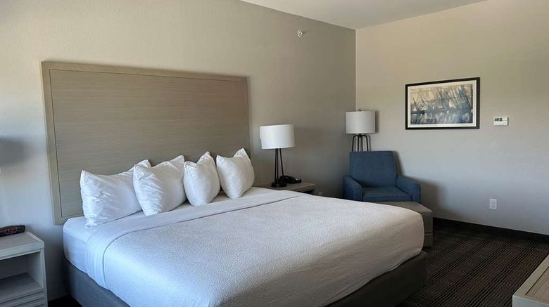 <b>Best Western Plus Chandler Room</b>. Images powered by <a href="https://iceportal.shijigroup.com/" title="IcePortal" target="_blank">IcePortal</a>.