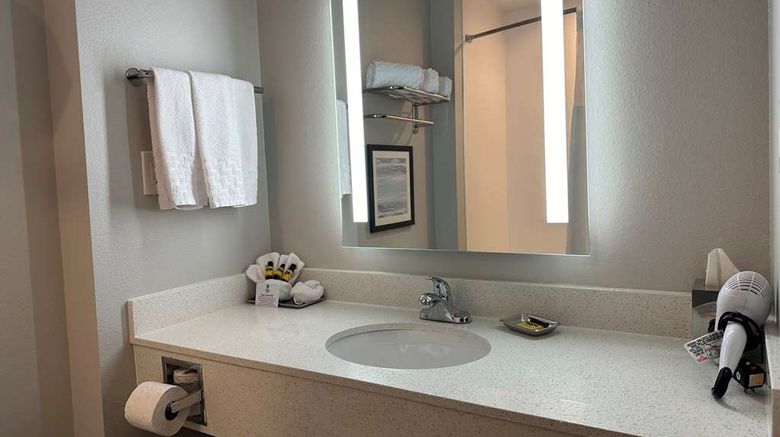 <b>Best Western Plus Chandler Room</b>. Images powered by <a href="https://iceportal.shijigroup.com/" title="IcePortal" target="_blank">IcePortal</a>.