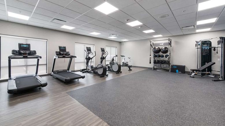 <b>Hampton Inn Niles Health</b>. Images powered by <a href="https://iceportal.shijigroup.com/" title="IcePortal" target="_blank">IcePortal</a>.