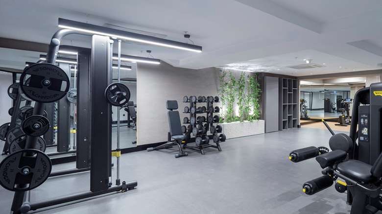 <b>Radisson Hotel Izmir Aliaga Health</b>. Images powered by <a href="https://iceportal.shijigroup.com/" title="IcePortal" target="_blank">IcePortal</a>.