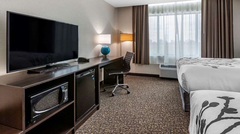 <b>Sleep Inn Waukee West Des Moines Room</b>. Images powered by <a href="https://iceportal.shijigroup.com/" title="IcePortal" target="_blank">IcePortal</a>.