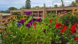 El Sendero Inn, Ascend Hotel Collection Other