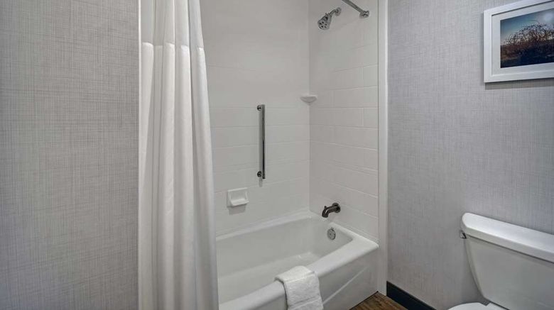 <b>Hampton Inn Midland South Room</b>. Images powered by <a href="https://iceportal.shijigroup.com/" title="IcePortal" target="_blank">IcePortal</a>.
