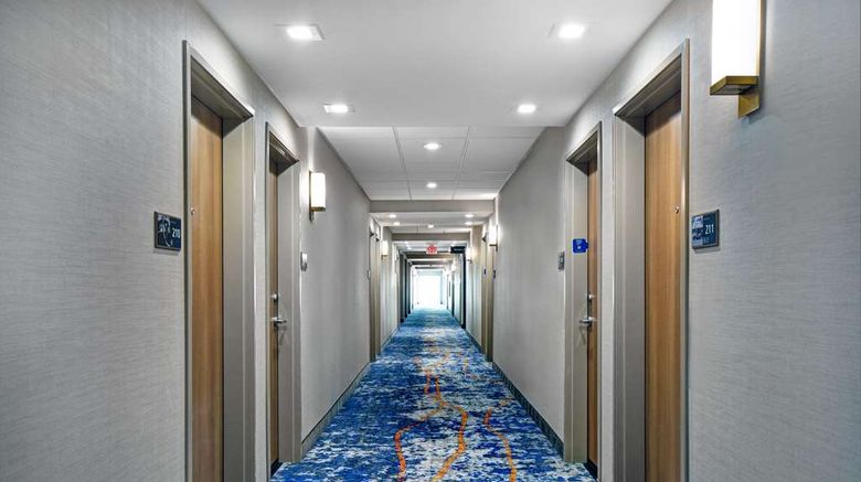 <b>Hampton Inn Midland South Other</b>. Images powered by <a href="https://iceportal.shijigroup.com/" title="IcePortal" target="_blank">IcePortal</a>.