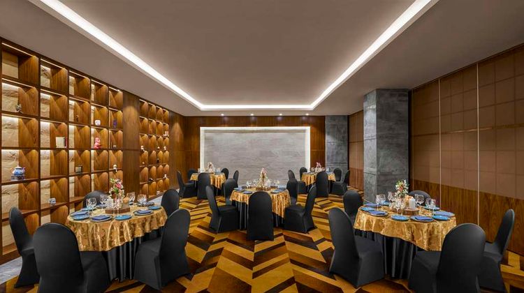 Hyatt Centric Janakpuri New Delhi Meeting