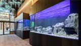 Hotel Aquarius Venice, Ascend Collection Lobby