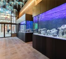 Hotel Aquarius Venice, Ascend Collection Lobby