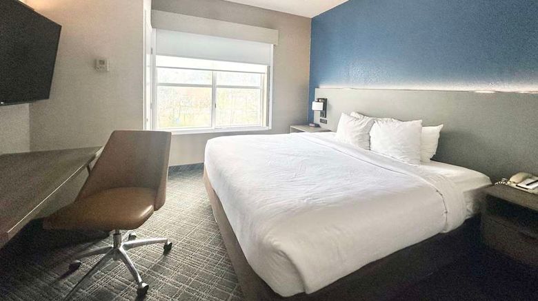 <b>Comfort Inn & Suites Cartersville Room</b>. Images powered by <a href="https://iceportal.shijigroup.com/" title="IcePortal" target="_blank">IcePortal</a>.