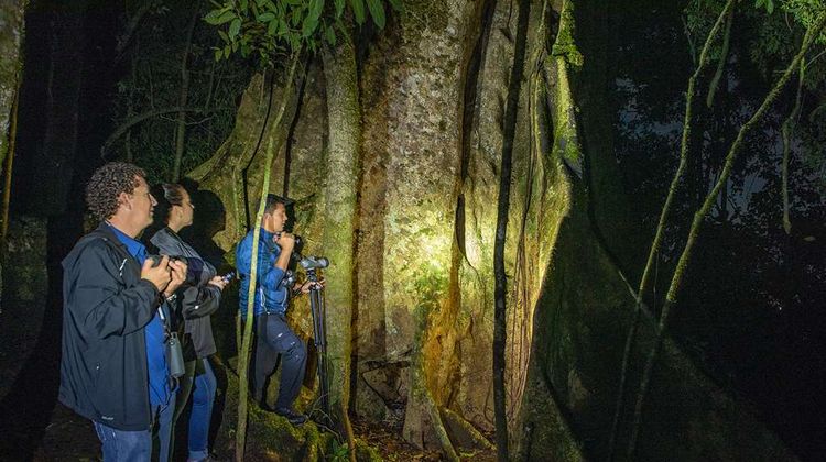 Monteverde Lodge Other