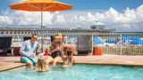 <b>Tides Folly Beach Pool</b>. Images powered by <a href="https://iceportal.shijigroup.com/" title="IcePortal" target="_blank">IcePortal</a>.
