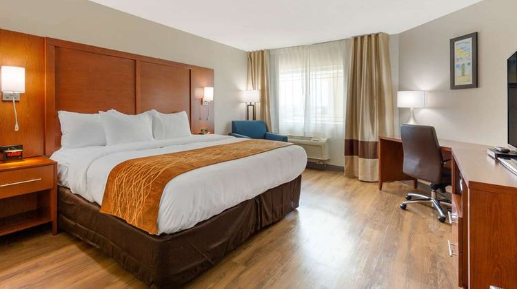Comfort Inn & Suites Room
