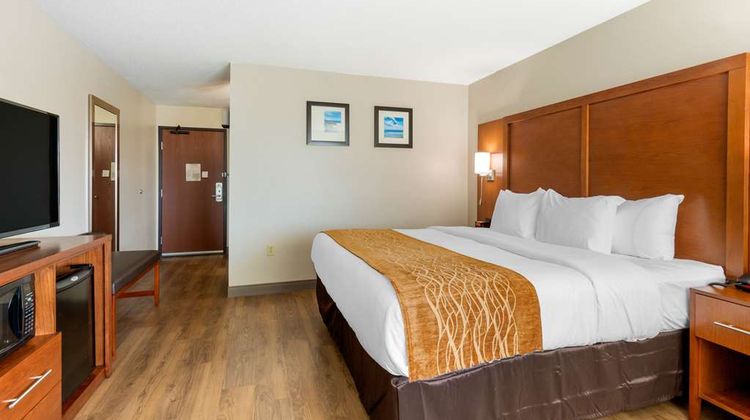 Comfort Inn & Suites Room