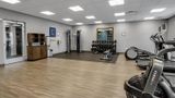 <b>Hampton Inn Buffalo - Amherst Health</b>. Images powered by <a href="https://iceportal.shijigroup.com/" title="IcePortal" target="_blank">IcePortal</a>.
