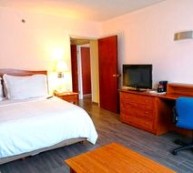 One Celaya Suite