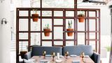 <b>Hilton Grand Vacations Club La Pacifica Restaurant</b>. Images powered by <a href="https://iceportal.shijigroup.com/" title="IcePortal" target="_blank">IcePortal</a>.