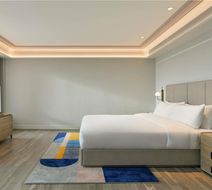 Mercure Guangzhou Nansha Room