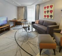 Moevenpick Hotel Muenster Room