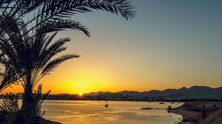 Moevenpick Resort Sharm El Sheikh Restaurant