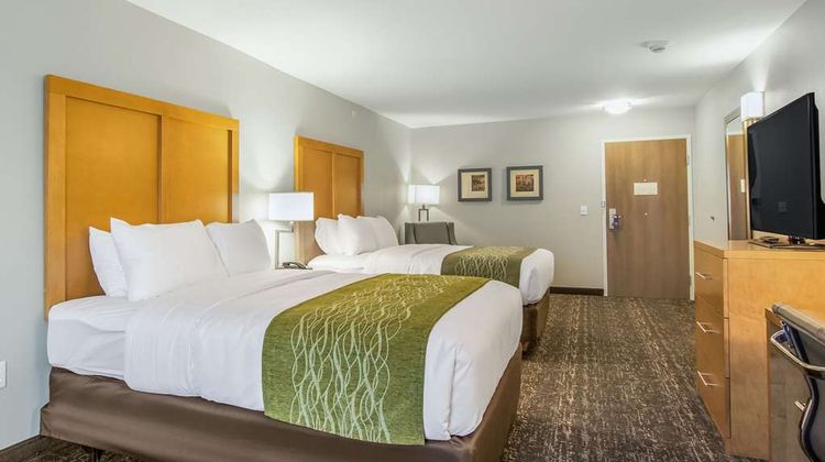 Comfort Inn Jasper South Room