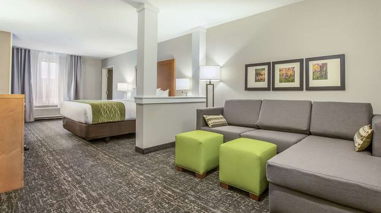 Comfort Inn Jasper South Suite