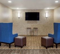 Comfort Inn & Suites Lobby