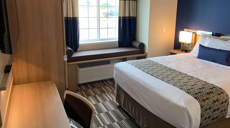 Microtel Inn & Suites by Wyndham Room