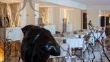 Hotel Don Cesar Restaurant
