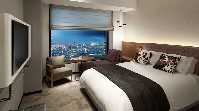<b>Mitsui Garden Hotel Toyosu Premier Room</b>. Images powered by <a href="https://iceportal.shijigroup.com/" title="IcePortal" target="_blank">IcePortal</a>.