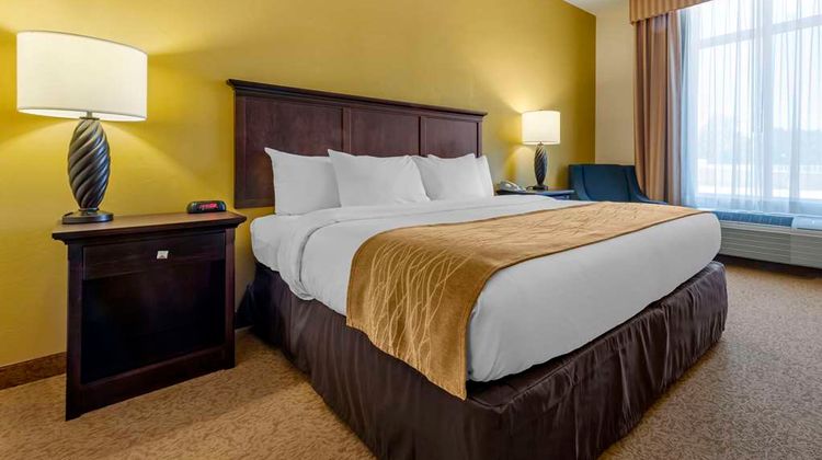 Comfort Inn & Suites Dover Room