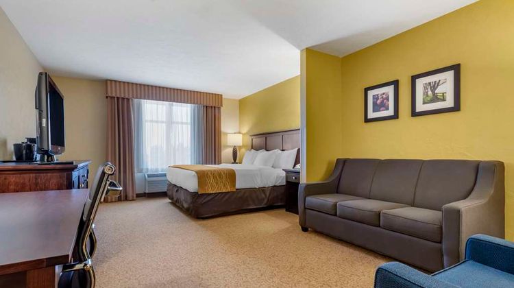Comfort Inn & Suites Dover Suite