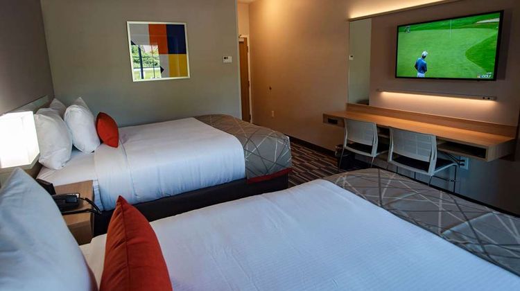 Microtel Inn & Suites by Wyndham Room