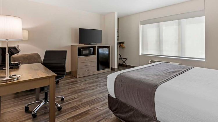 Best Western Plus Executive Residency Room